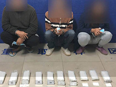 云南普洱：姐弟三人运毒被抓获 缴获冰毒逾15公斤