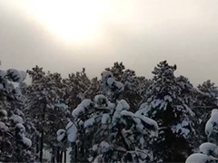 美国科罗拉多州降雪导致断电 数万人受影响