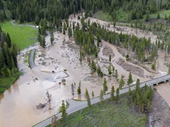 洪水灾情缓解 美国黄石国家公园周三将部分重开