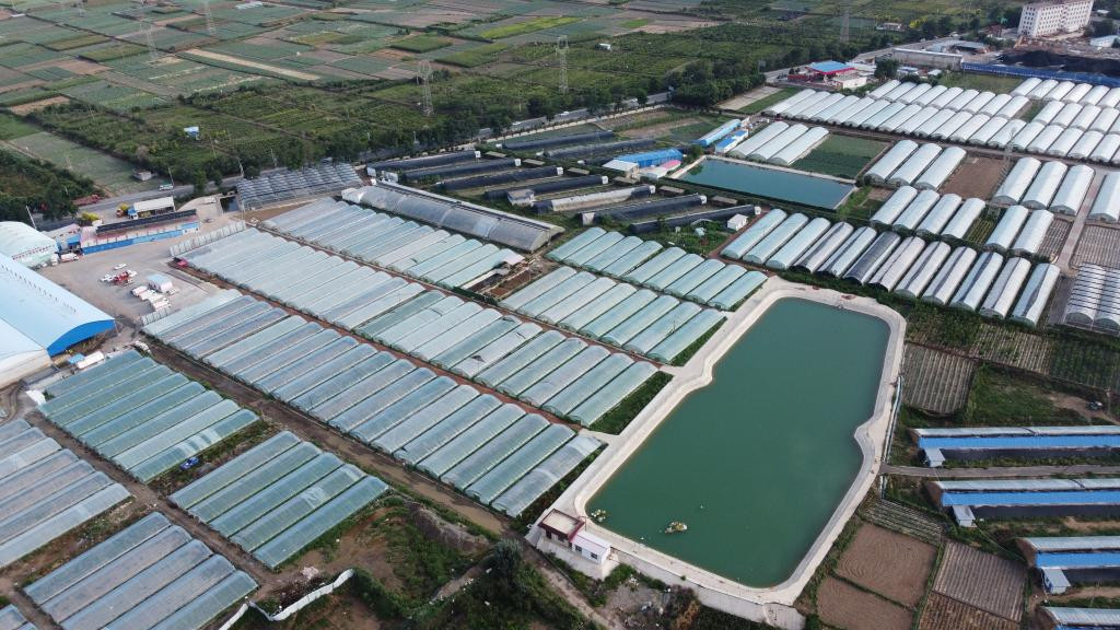 兰州新区：创新引领产业升级 强链打造区域高地