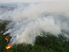 重庆巴南山火南线火势被有效控制 北线已无明火