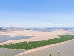 鄱阳湖洲滩大面积显露