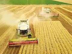 新疆夏收基本结束 实现增产丰收