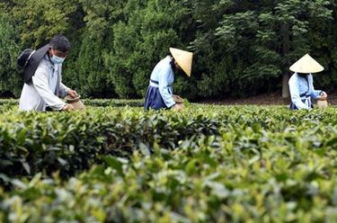 【在习近平新时代中国特色社会主义思想指引下】巩固拓展脱贫攻坚成果 全面推进乡村振兴