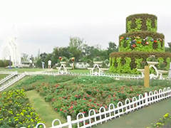 浦江郊野公园2万平方米“花毯”免费开放