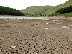 英国遭遇严重干旱“限水令”可能持续至明年
