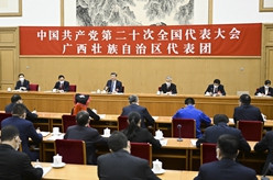 习近平参加党的二十大广西代表团讨论