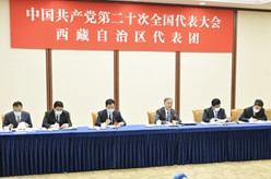 汪洋参加党的二十大西藏代表团讨论