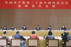 王沪宁参加党的二十大贵州代表团讨论