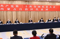 赵乐际参加党的二十大内蒙古代表团讨论