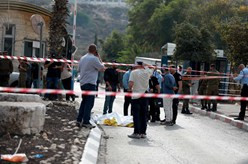 约旦河西岸塞勒菲特市袭击事件已致4人死亡