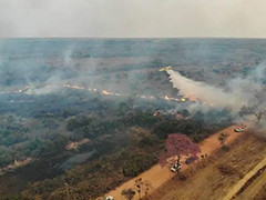 巴西潘塔纳尔湿地火灾频发 湿地保护面临挑战