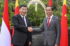习近平同印尼总统举行会谈