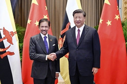 习近平会见文莱苏丹