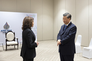 习近平同美国副总统简短交谈
