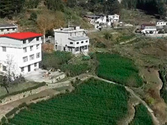 【新时代新征程新伟业】安徽：追梦不止的大湾村