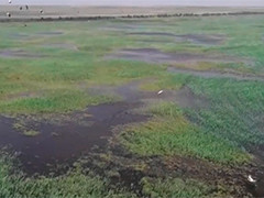 【新思想引领新征程】守护大美湿地 促进人与自然和谐共生