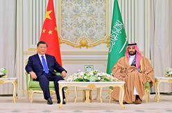 习近平同沙特王储兼首相举行会谈