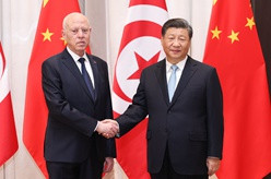 习近平会见突尼斯总统