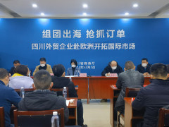 各地组团“出海” 助力企业开拓市场