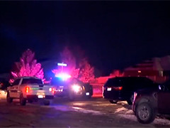 美国犹他州一家八口在家中遭枪击身亡