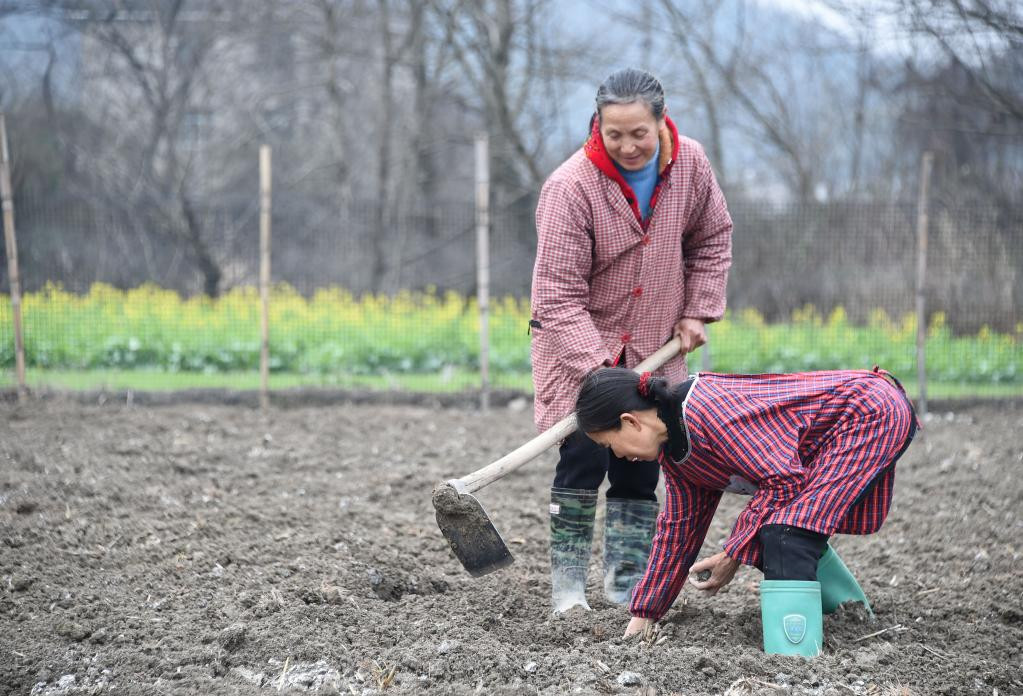 各地春耕备耕忙 稳住农业基本盘