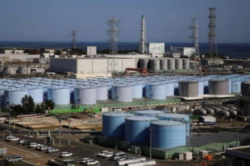 增样本降精度 日本水产厅调整核污染水排海对水产品影响测量方法