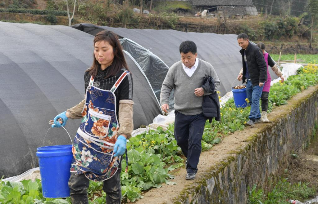 抢抓农时 各地有序推进春耕备耕