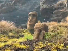 智利复活节岛火山口首次发现新摩艾石像