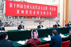 王沪宁参加贵州代表团审议
