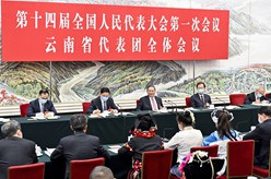 李强参加云南代表团审议