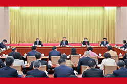 赵乐际与民革、台盟、台联界政协委员共商国是