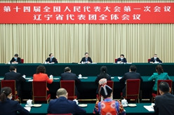 丁薛祥参加辽宁代表团审议