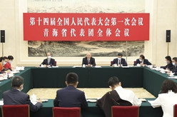 蔡奇参加青海代表团审议