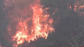 西班牙东部发生山火 过火面积已达数千公顷