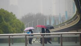 上海 受大风影响 多条客轮航线停航