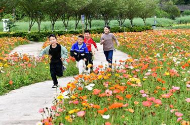 今年清明节假期国内旅游出游2376.64万人次