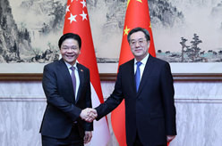 丁薛祥同新加坡副总理兼财政部长举行会谈