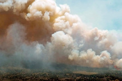 加拿大山火过火面积已超过2万平方公里
