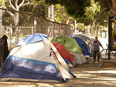 美媒称今年美国无家可归者人数大幅上升