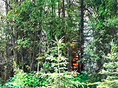 加拿大森林大火持续 野地消防员招聘难