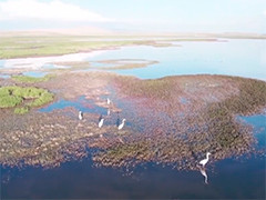 【新思想引领新征程】青海打造生态文明新高地