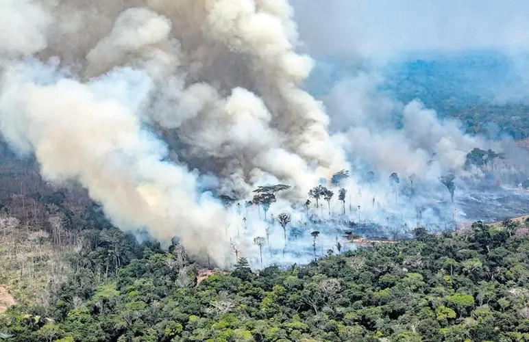 巴西亚马孙森林火灾数量创近年来新高