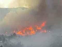 西班牙一岛屿发生林火 至少500人被疏散