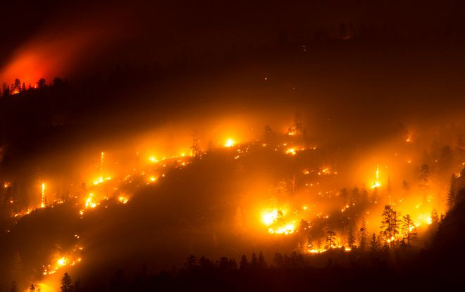 加拿大林火过火面积已达10万平方公里