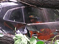 重庆狂风大雨吹倒小区内大树 五辆私家车被砸中