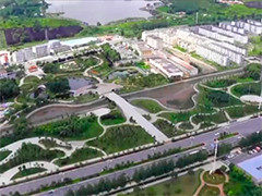 各地增绿添景 让城市更宜居