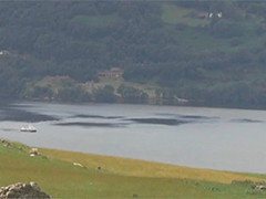 英国尼斯湖水位创数十年新低