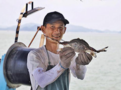 东海开渔后第一网海鲜上市