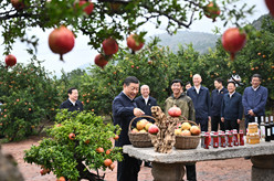 习近平在浙江考察 返京途中在山东枣庄考察